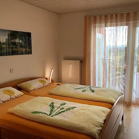 Haus Ketterer Apartment Bad Duerrheim